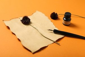 dried-flowers-old-paper-pen-with-ink-orange-background_185193-163435-3